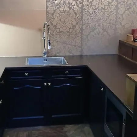 Apartment Centrum Met Prive Tuin En 2 Fietsen Gouda